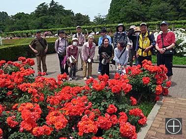 �T���v��