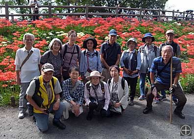 �T���v��